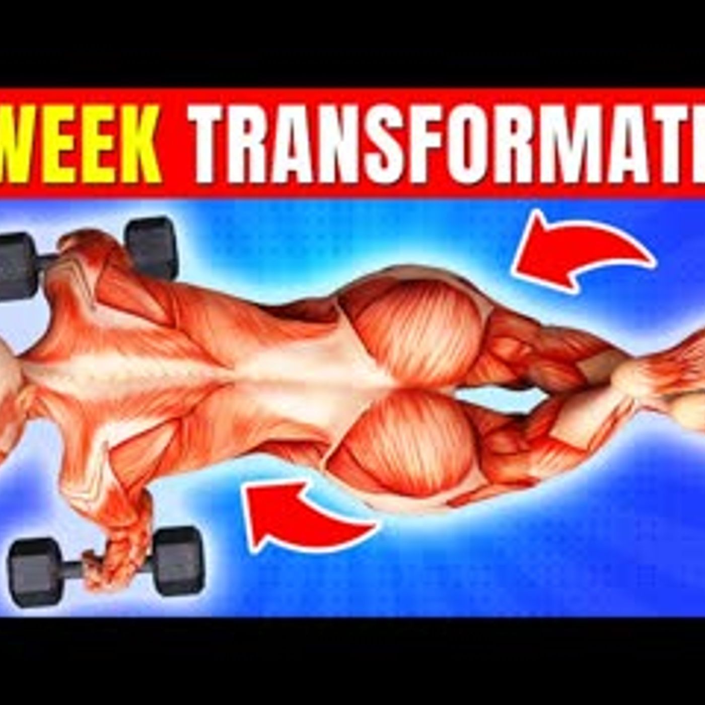 12 Exercises That Can Transform Every Part Of Your Body In 4 Weeks episode artwork