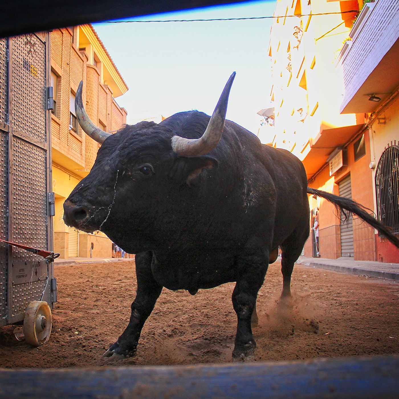 Hablemos de Toros