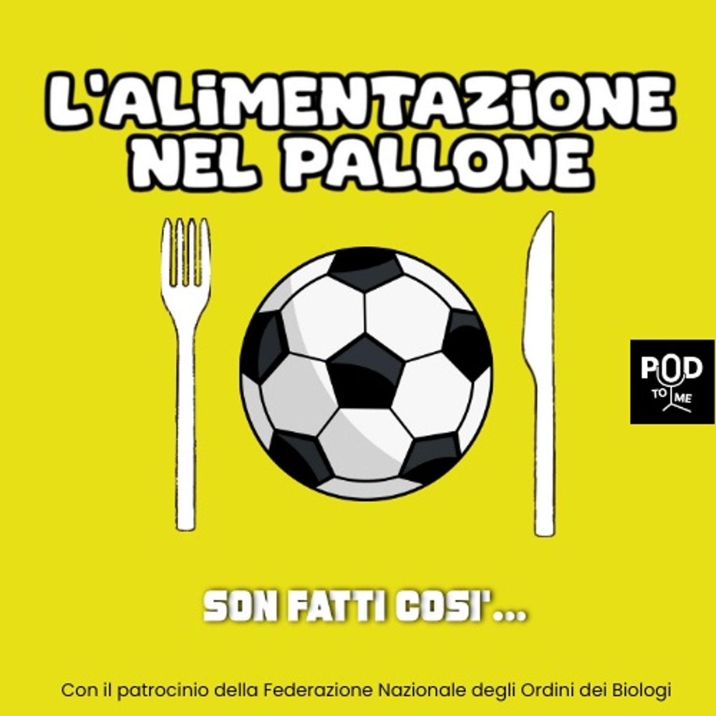 Sono fatti così… episode artwork
