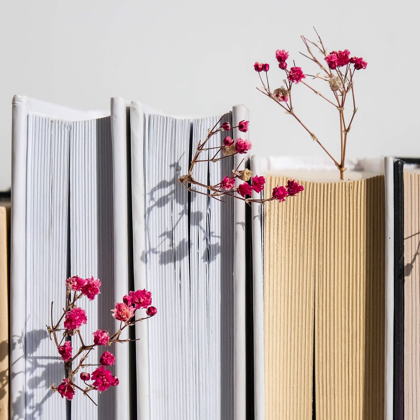 How to find a book you won't want to put down episode artwork