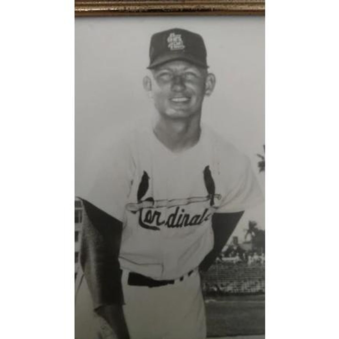 The Neil Haley Show