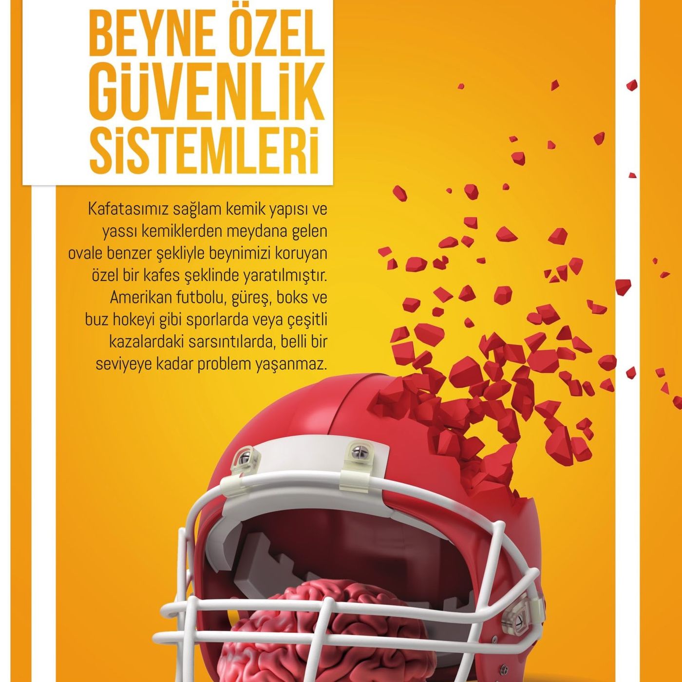 Beyne Özel Güvenlik Sistemleri episode artwork