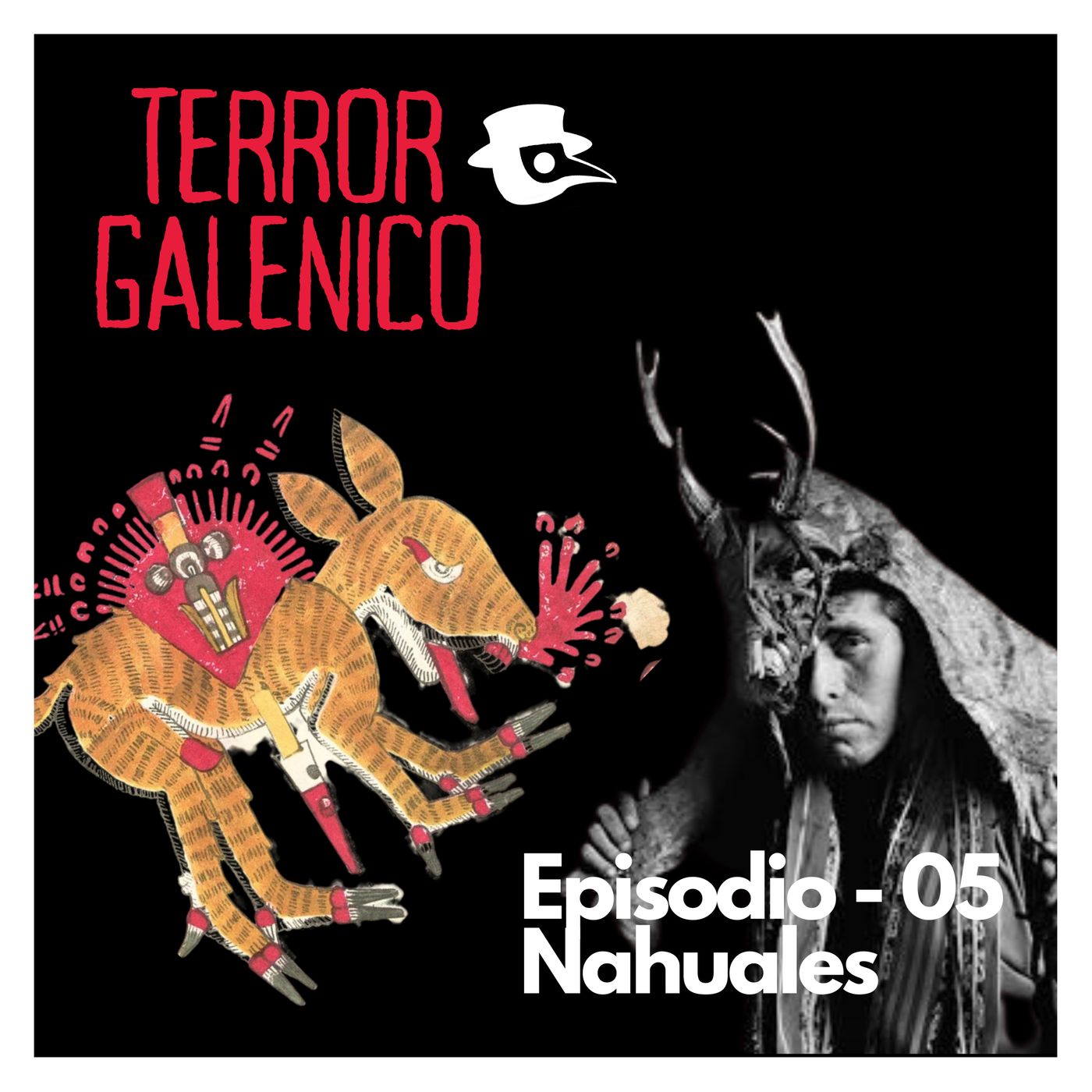 Terror Galenico