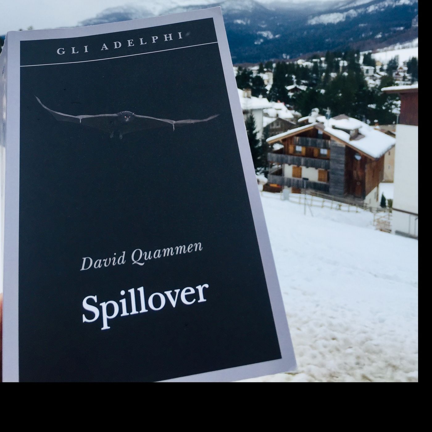 Una Montagna di Libri Cortina d\'Ampezzo