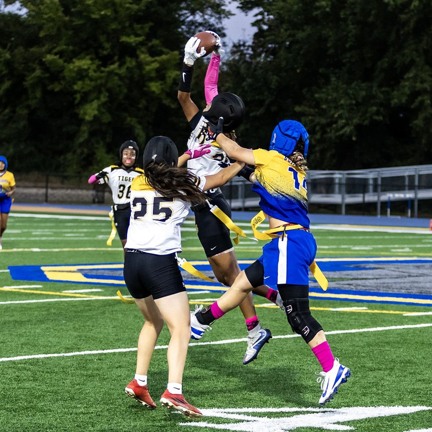 IHSA flag football playoffs begin: Who, where and when are Will County teams playing?