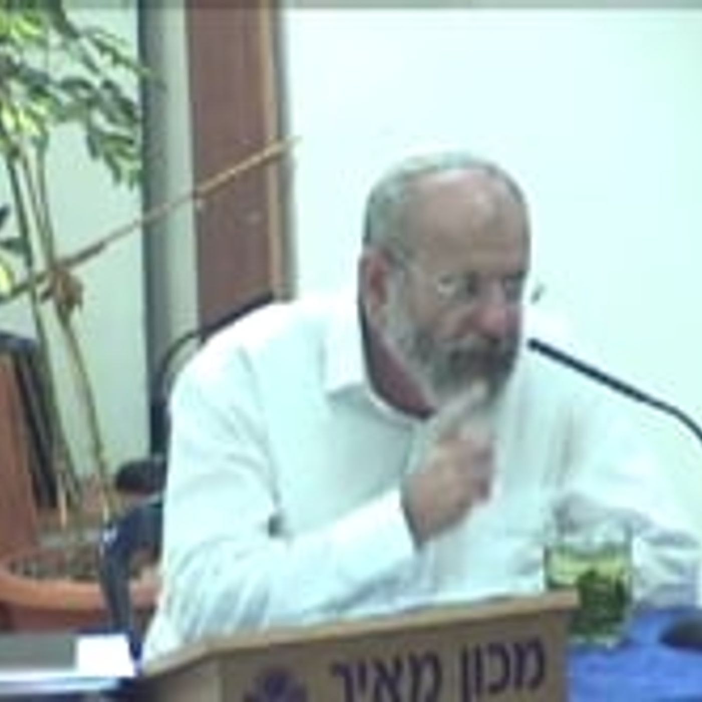"ומבשרך לא תתעלם" – כיצד להיכנס ליום כיפור episode artwork