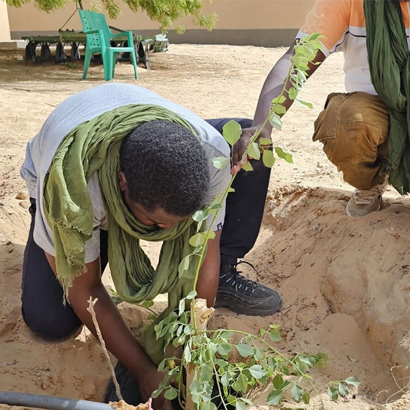 Les jeunes de Zinder s’engagent dans une vaste campagne de reboisement (Le Niger sur Kalangou) episode artwork