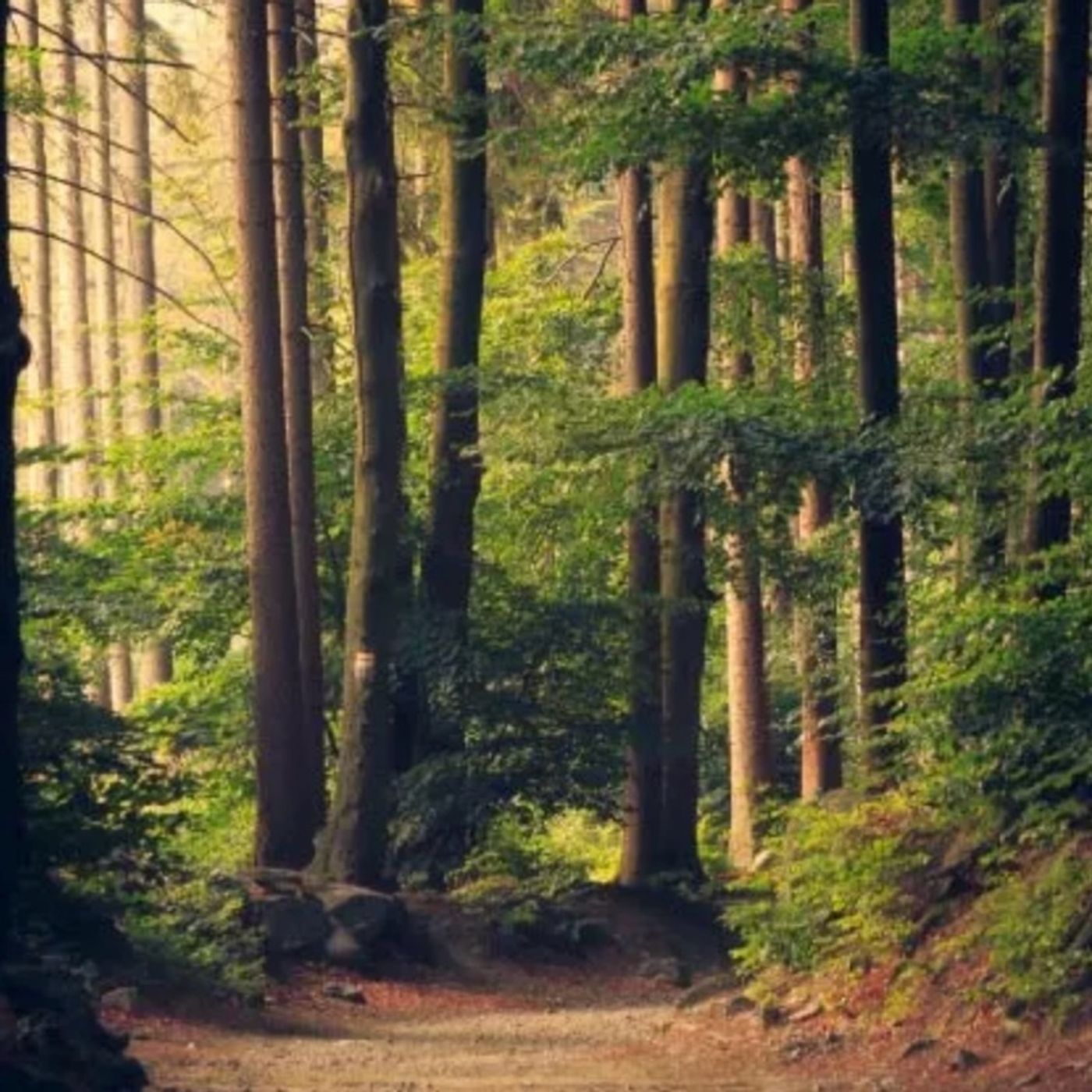 Episode 1466 - Jo’s Place Episode 1466 - Jo’s Place