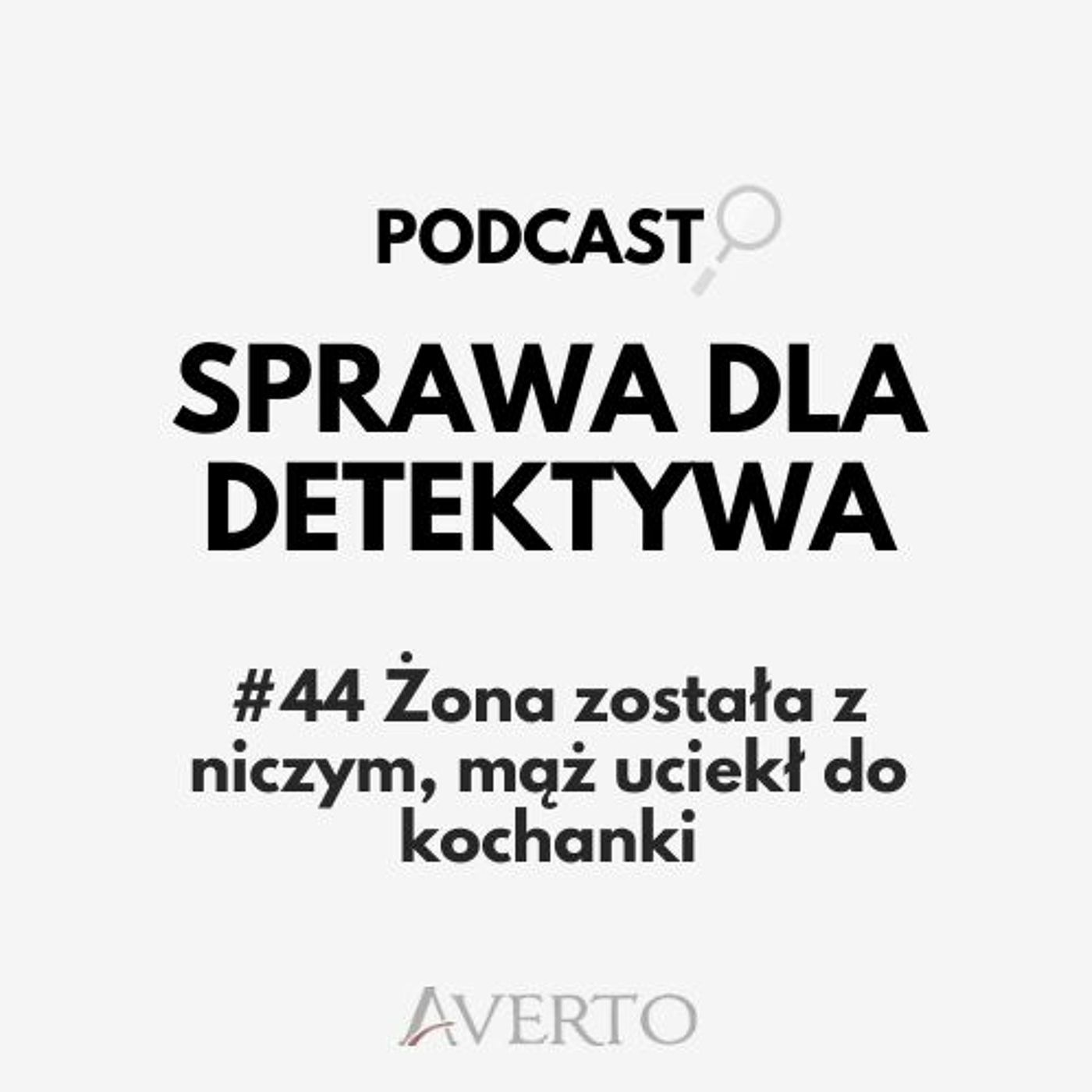 Sprawa dla detektywa