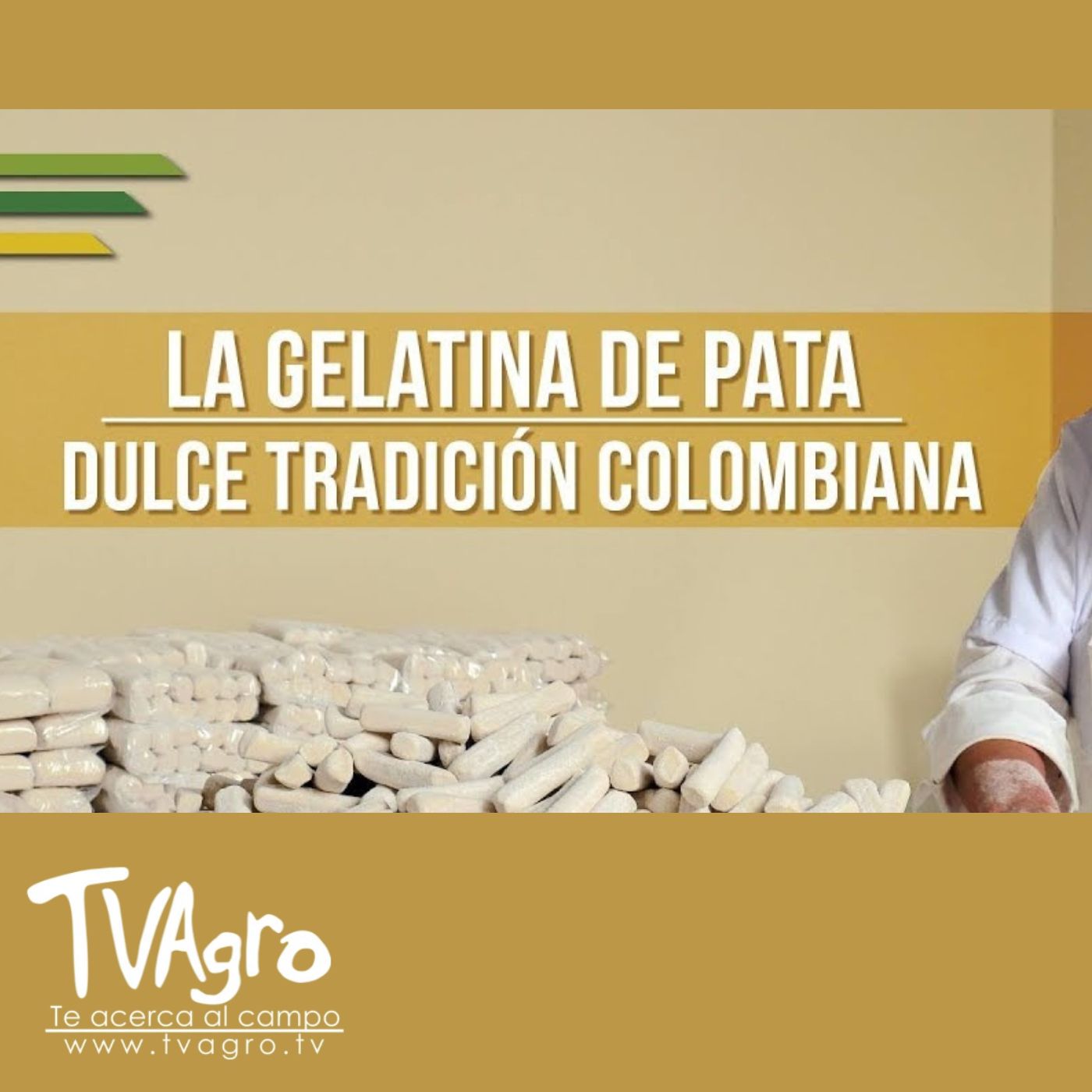 TV AGRO