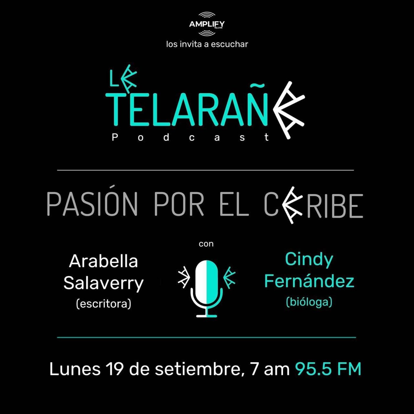 Portada de La Telaraña