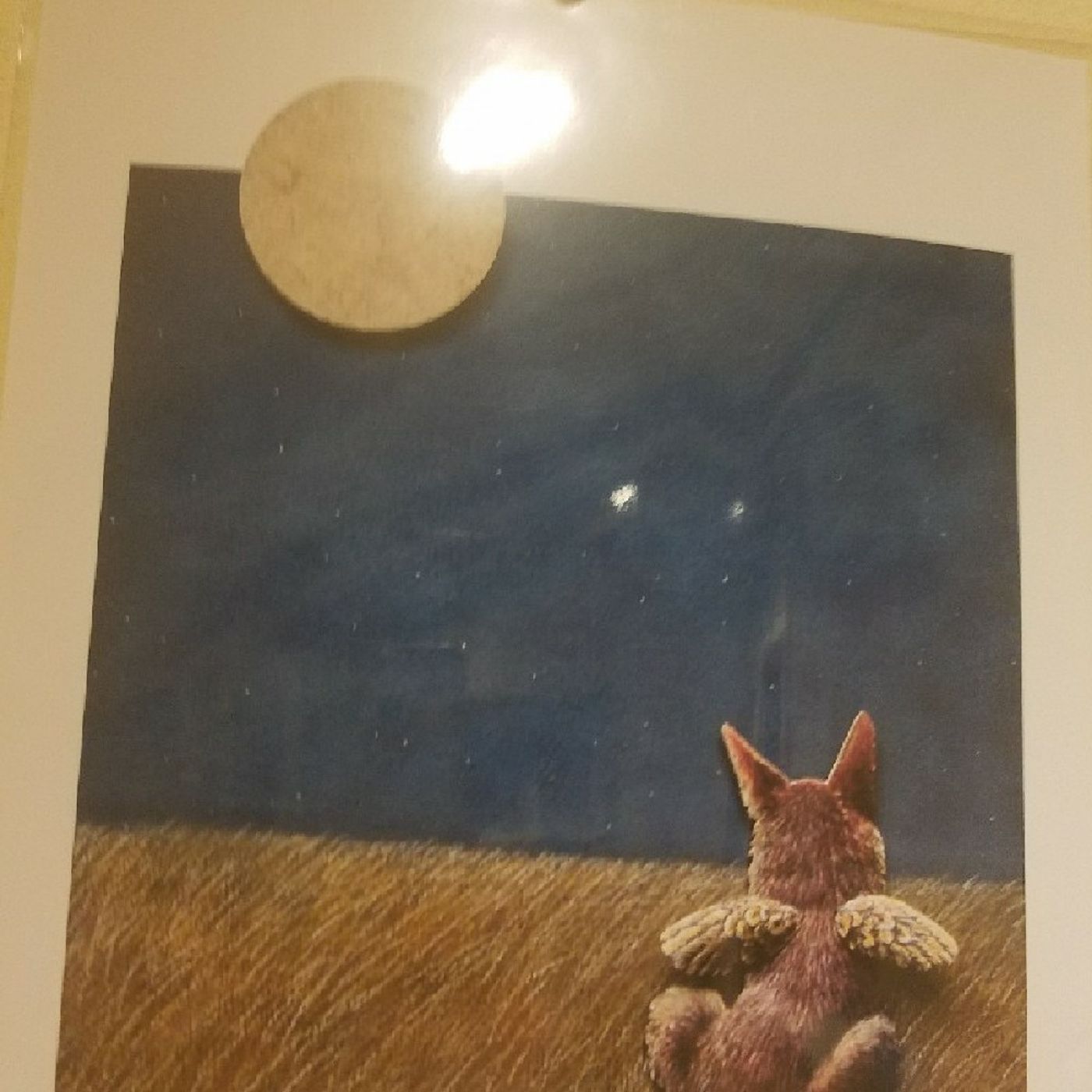 Coyote episode artwork