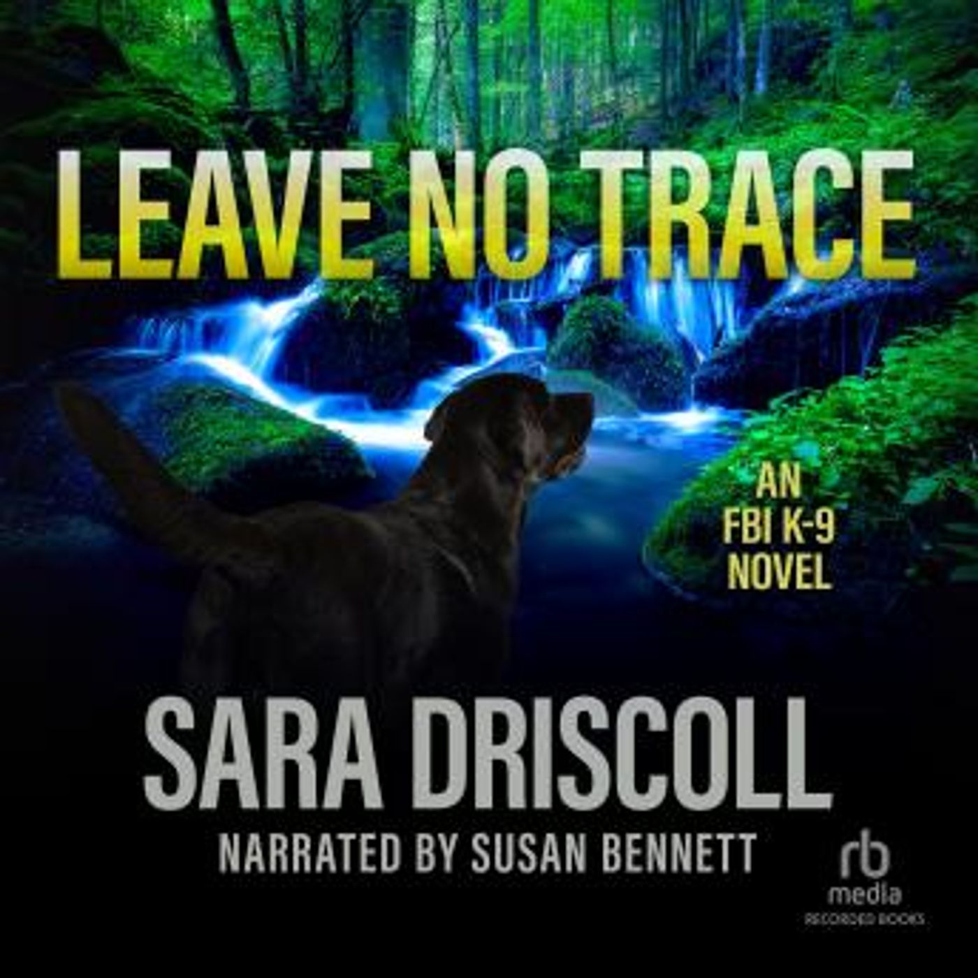Listen to Latest Full Audiobooks in Mystery, Thriller & Horror, Police & Detective