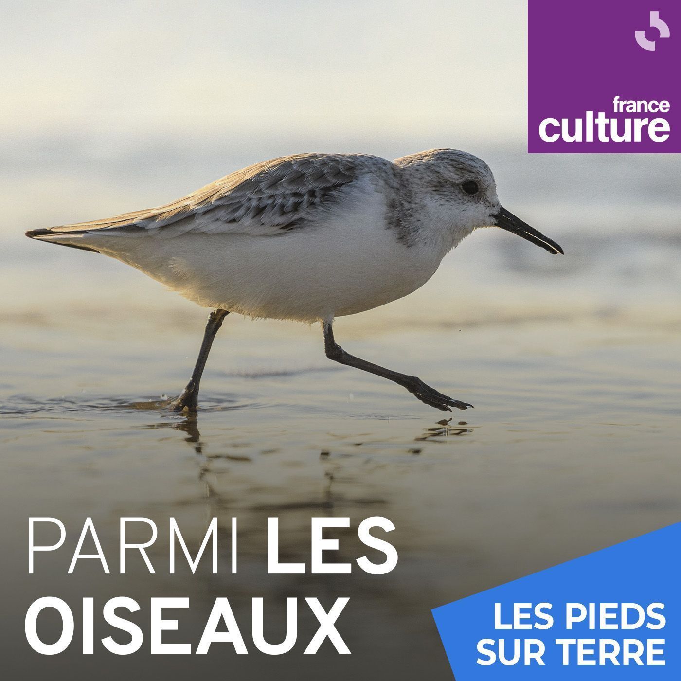 Affaires sensibles