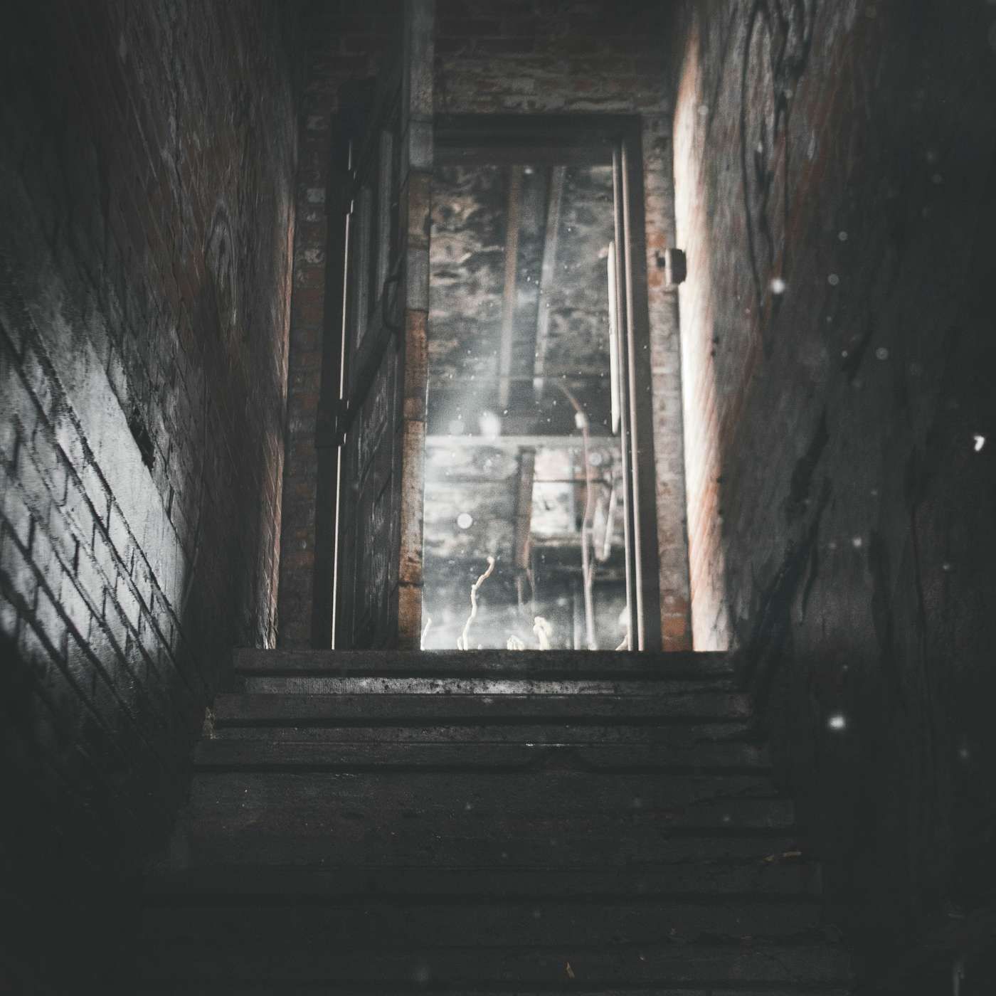 Ghost in Grandma's Basement (Campfire)