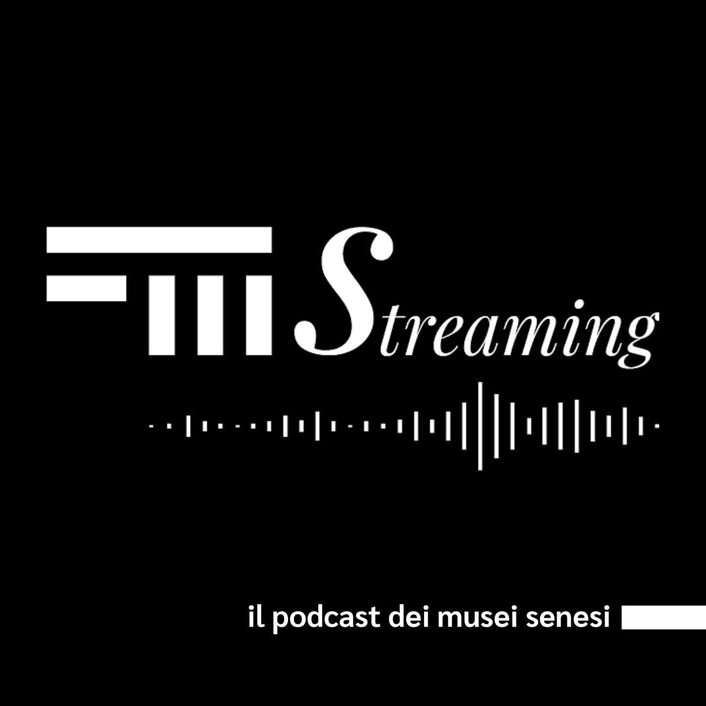 FMStreaming