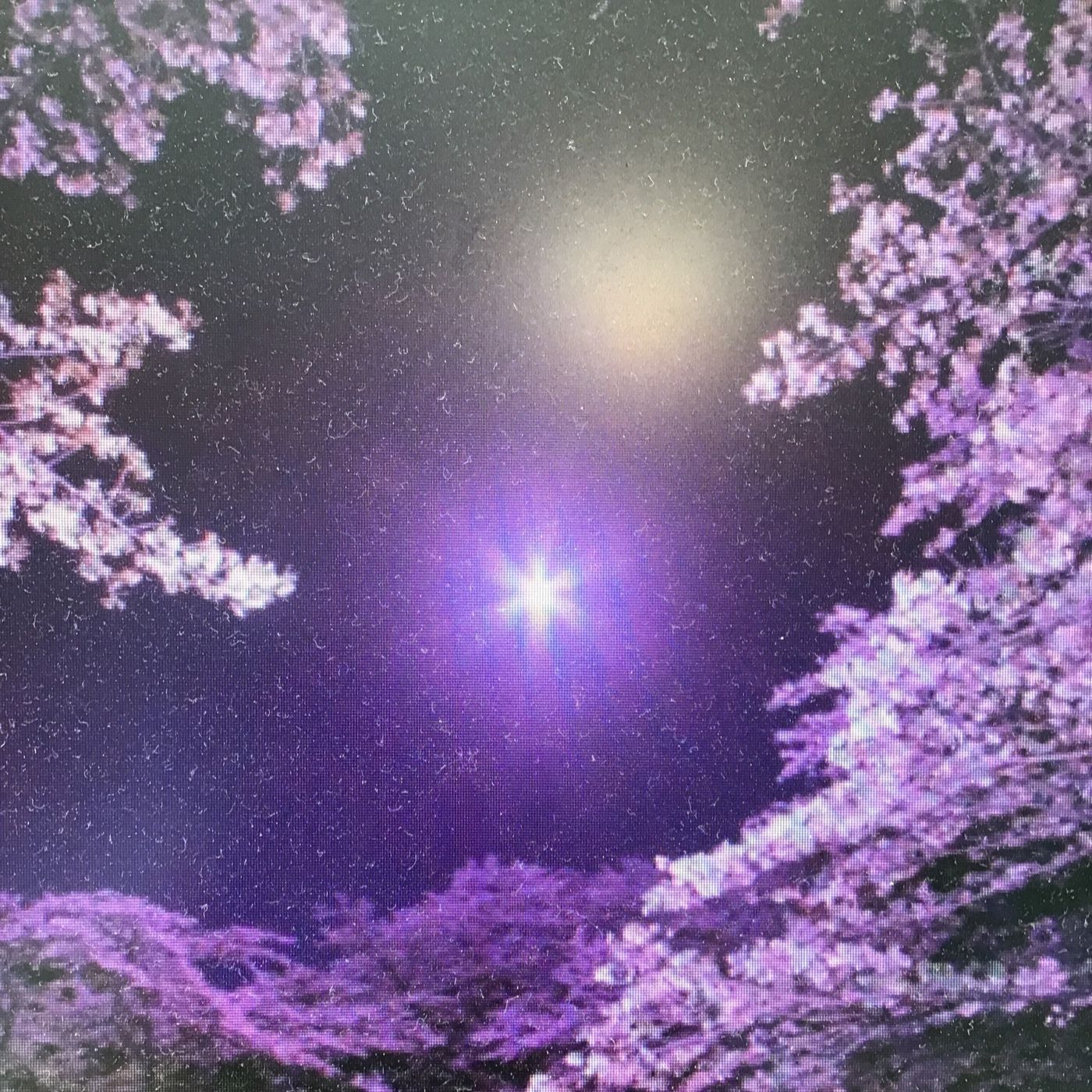 Garden Of Poems