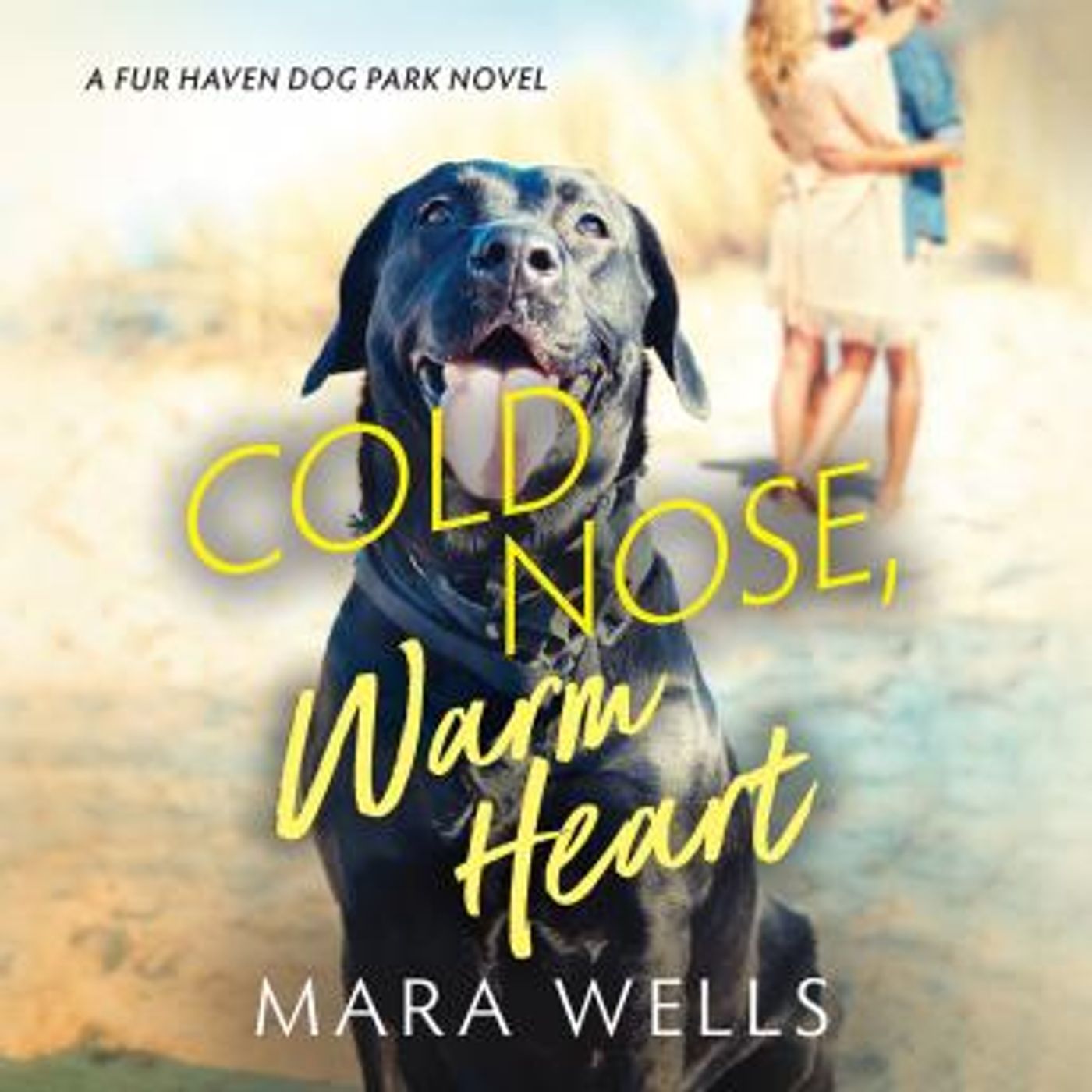 Access Top-Rated Full Audiobooks in Romance, Modern