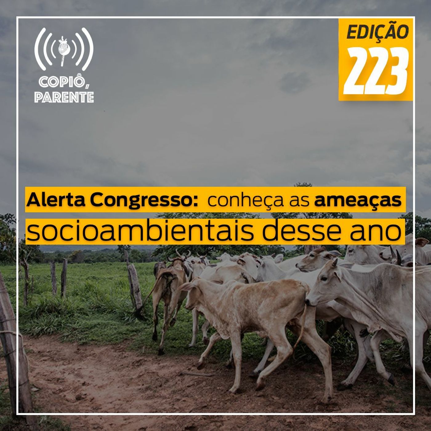 Copiô, parente!