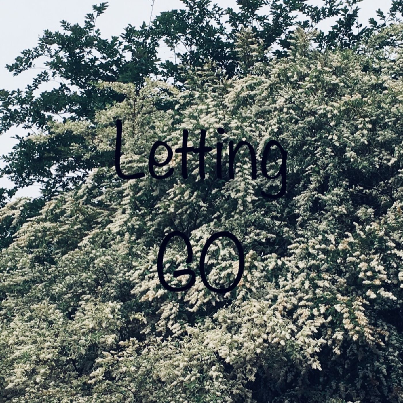 Letting Go episode artwork