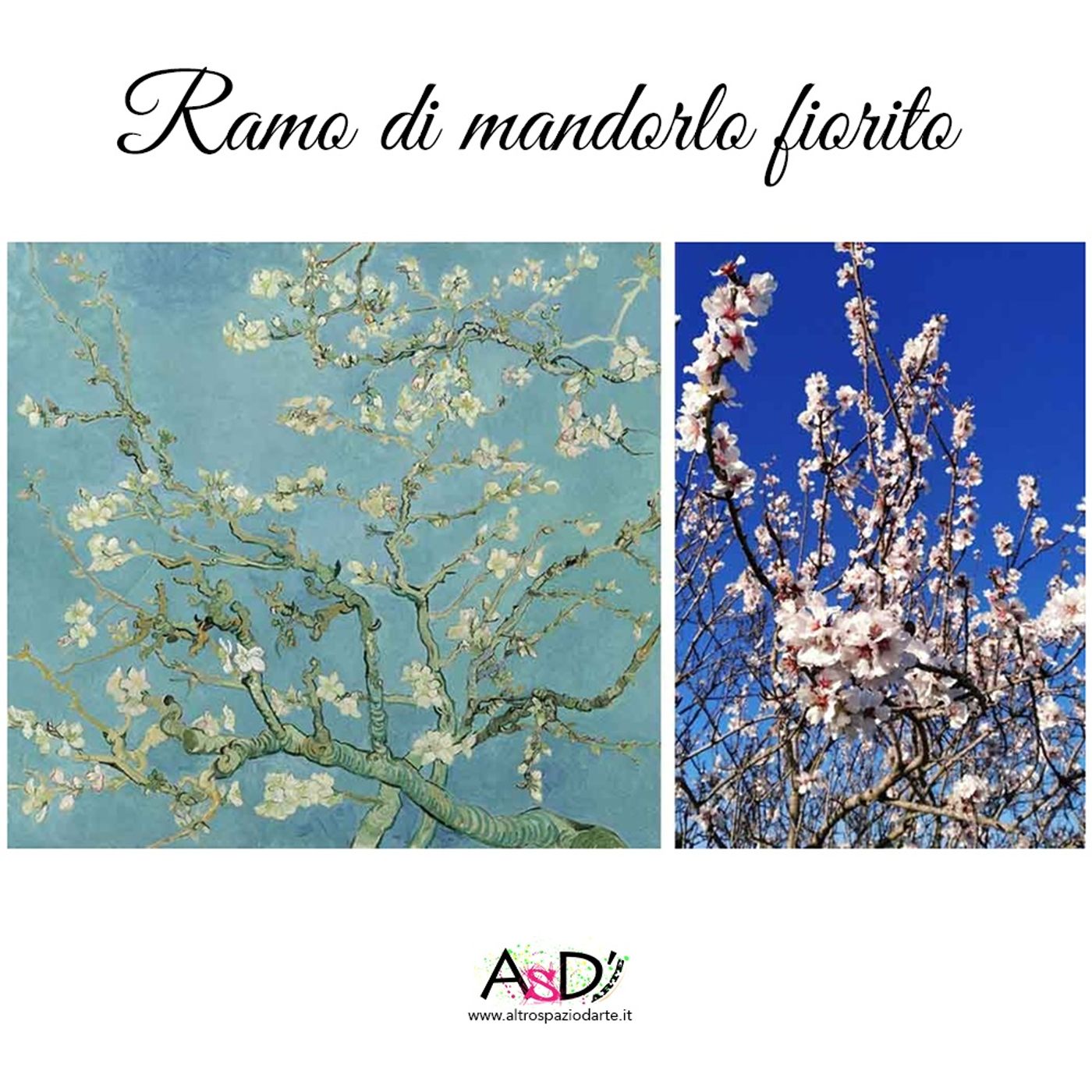Il risveglio nel quadro