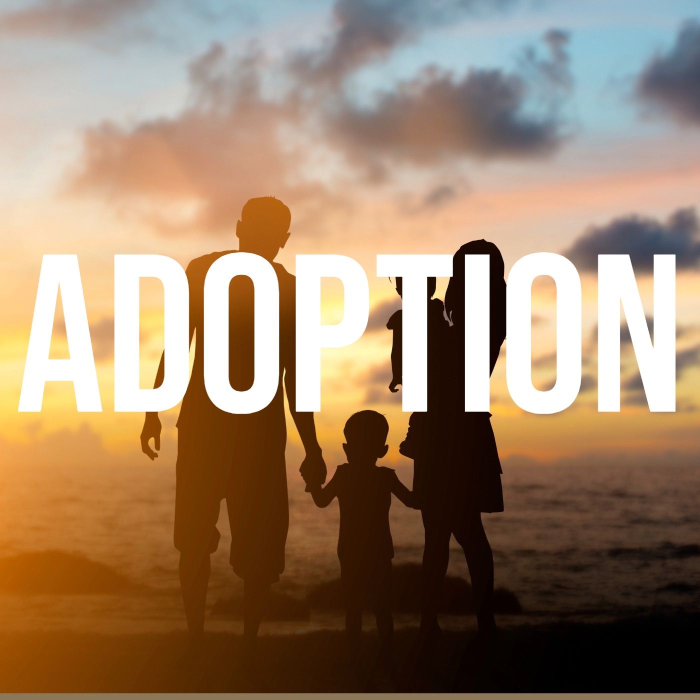 Adoption (2016 Rerun) Adoption (2016 Rerun)