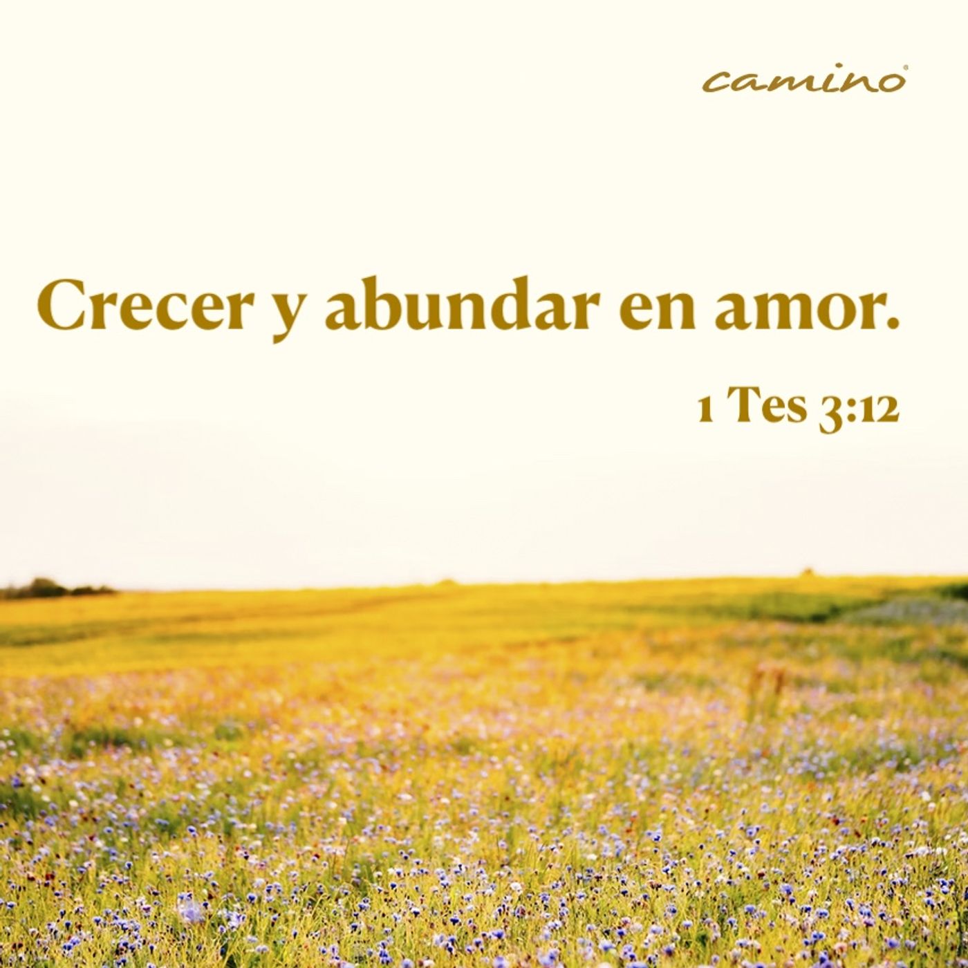 Oración 2 de enero (Crecer y abundar en amor) episode artwork
