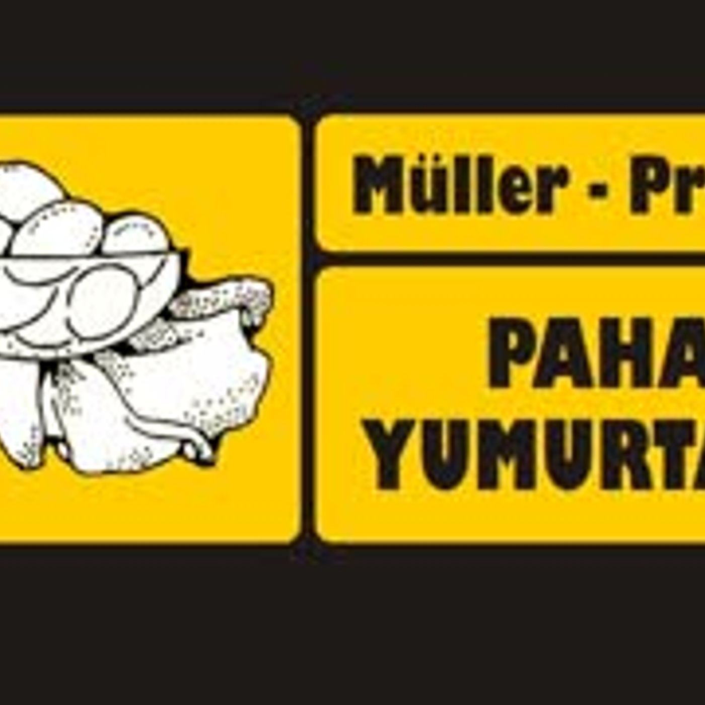 Pahalı Yumurtalar  Müller - Preusser sesli öykü