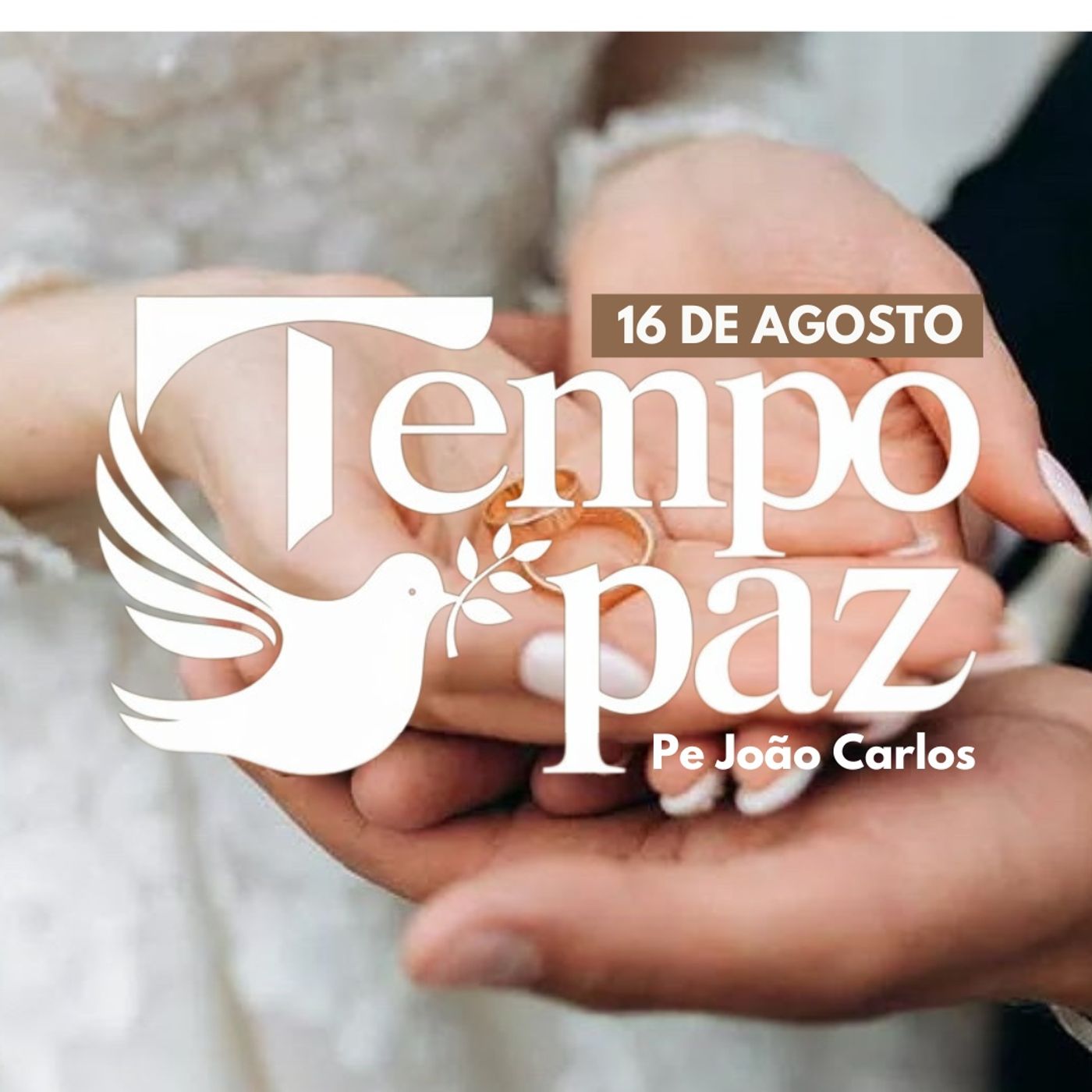 Pe. João Carlos - Meditação da Palavra