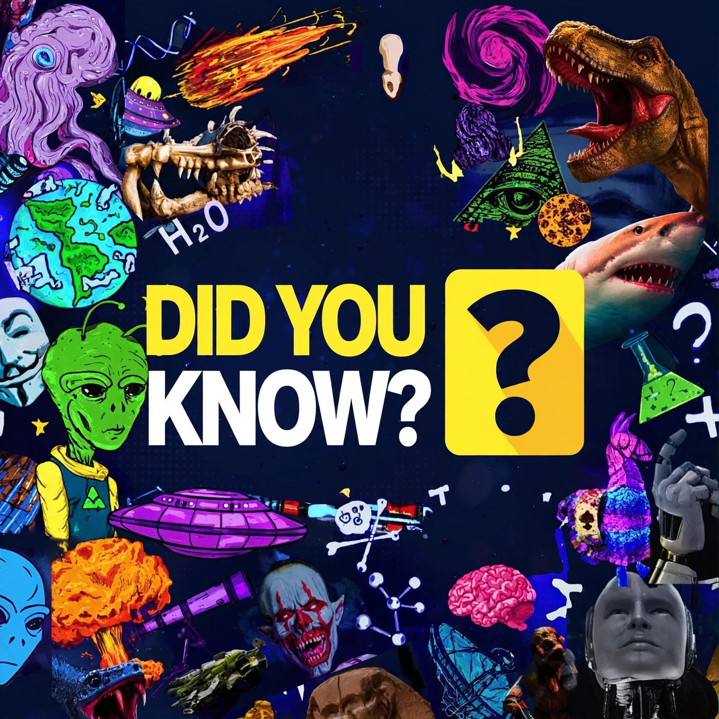 Welcome to Did You Know?