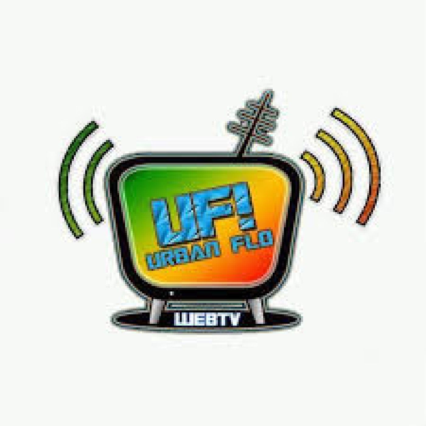 Urban Flow 507 Radio