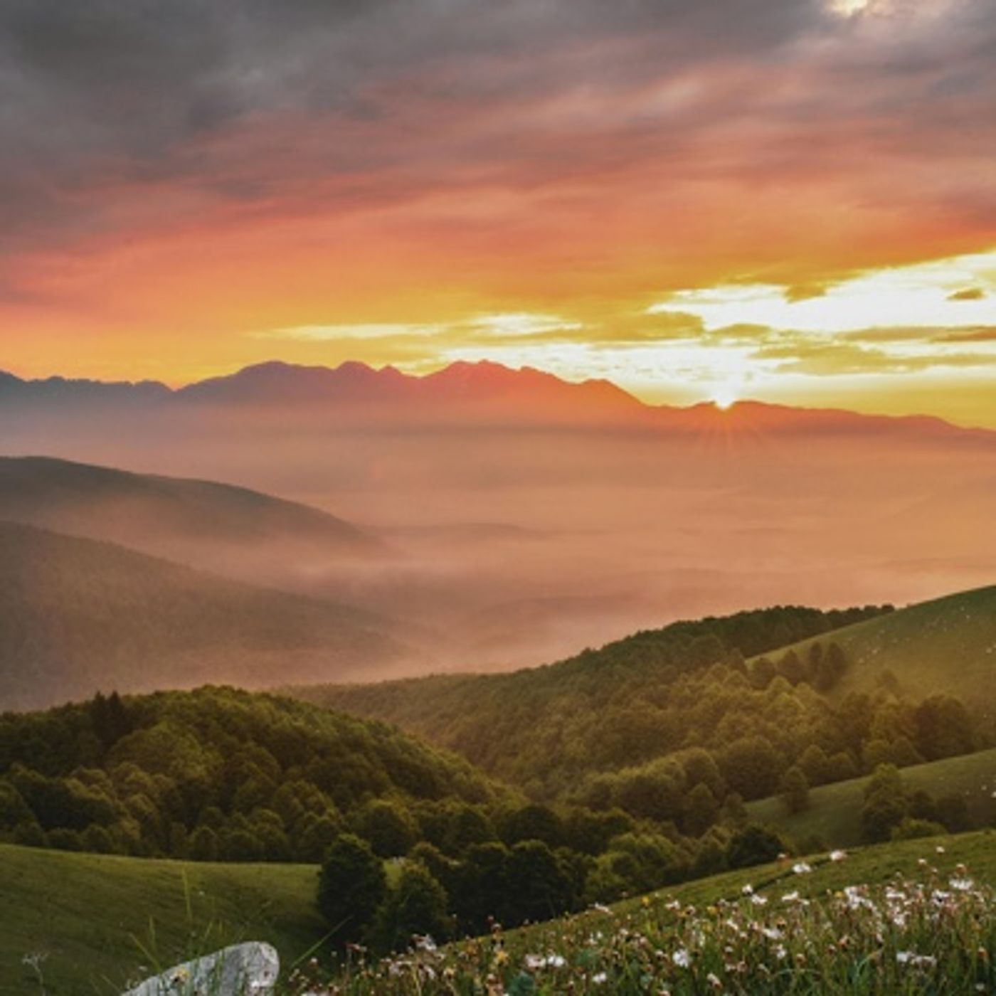 Episode 1585 - Jarvis Kingston Texans Steelers Monday Night Football NFL ESPN Liverpool Barnsley Autistic Barbie PSG CJ Stroud Aaron Rodgers