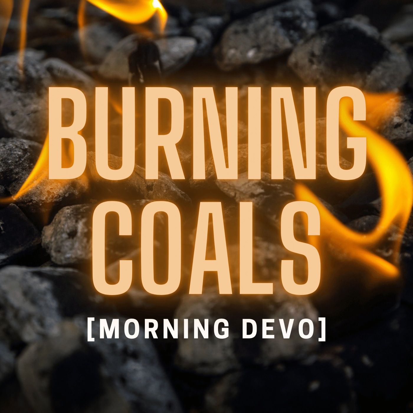 The BLAZE (Bible Study)