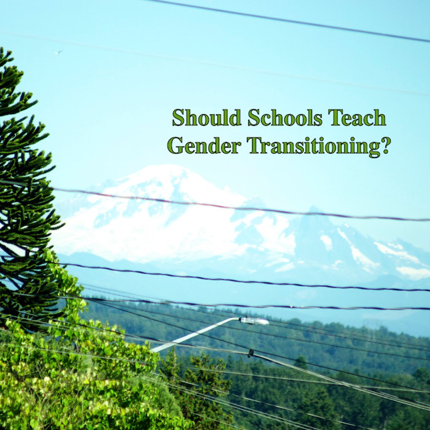 Should Parents have more input to what happen in Public Schools