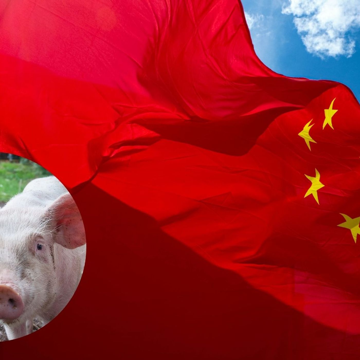 Prensa económica: China castiga con aranceles al cerdo español