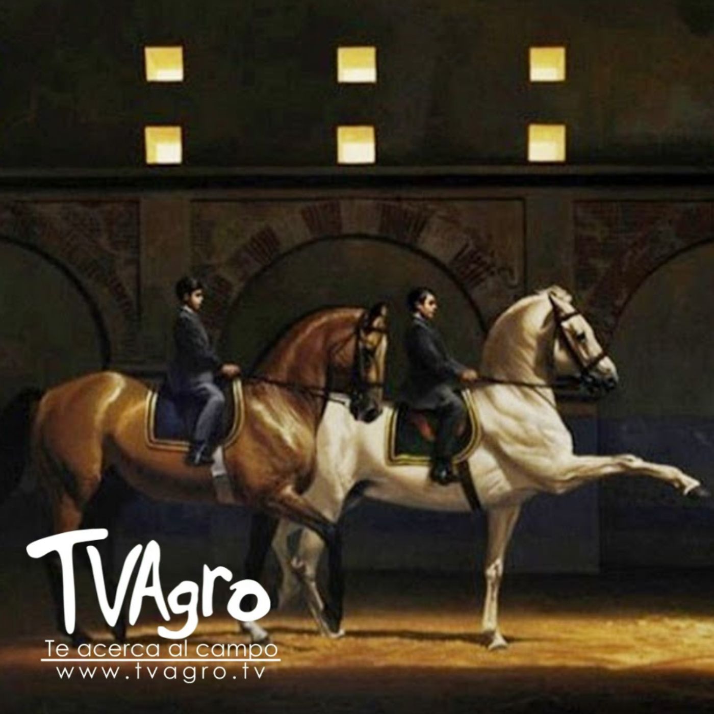TV AGRO