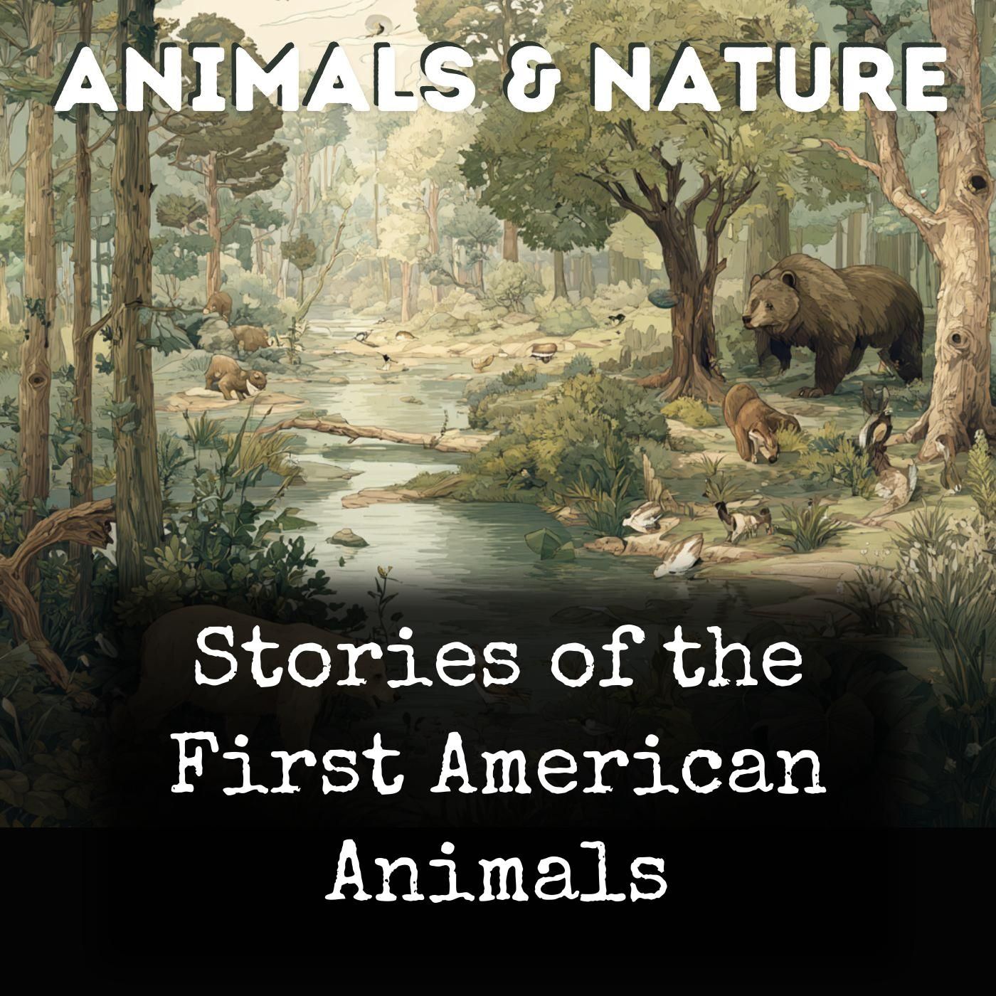 Stories of the First American Animals cover art