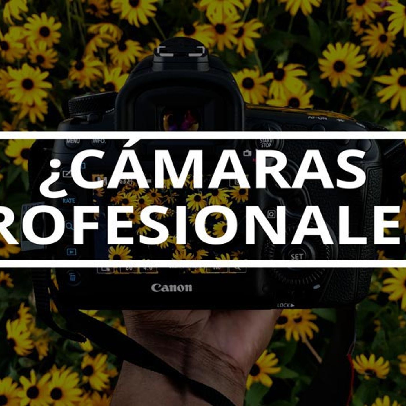 Vivir de la Fotografía