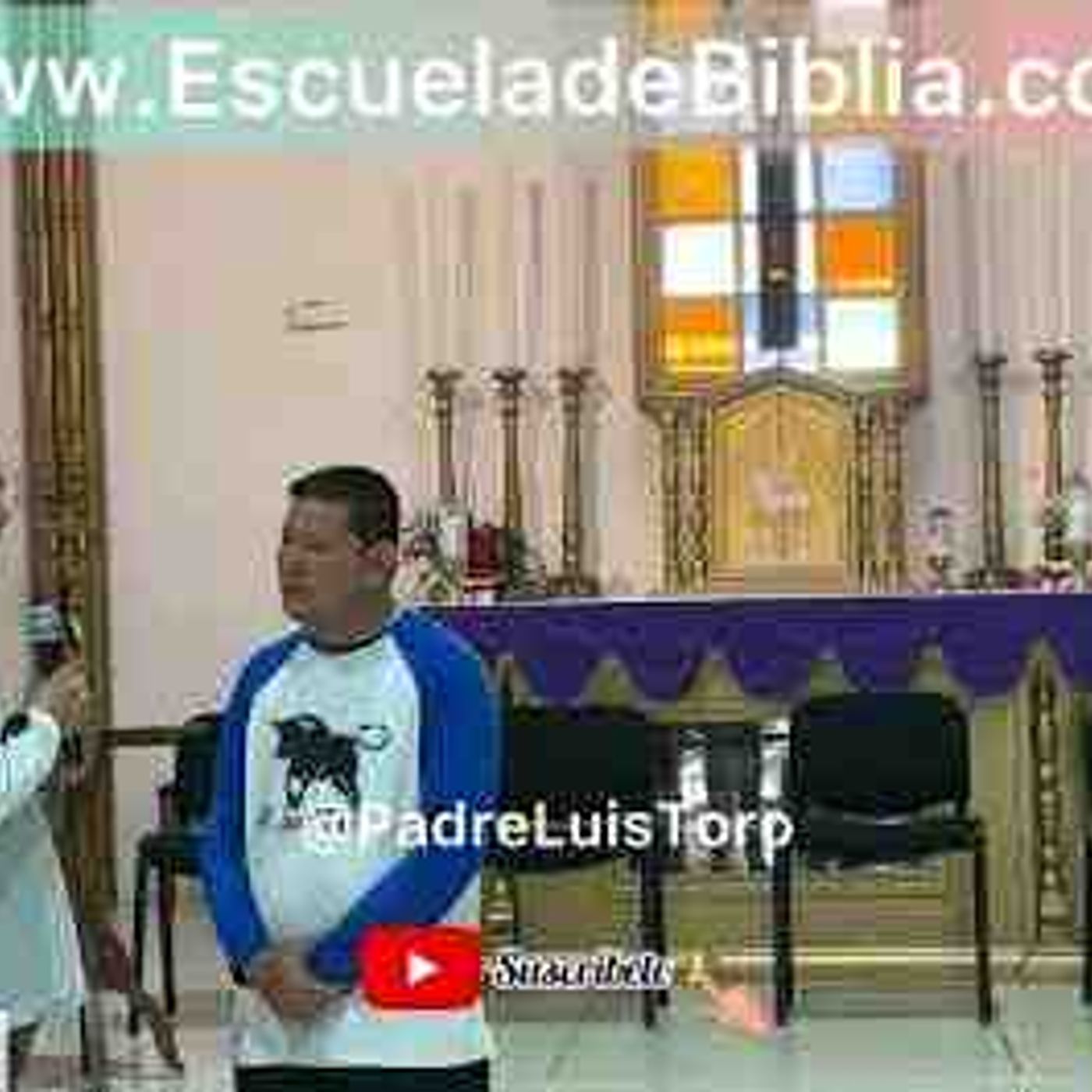 El Problema de los Protestantes Contra la Inmaculada Concepción_ Padre Luis Toro episode artwork