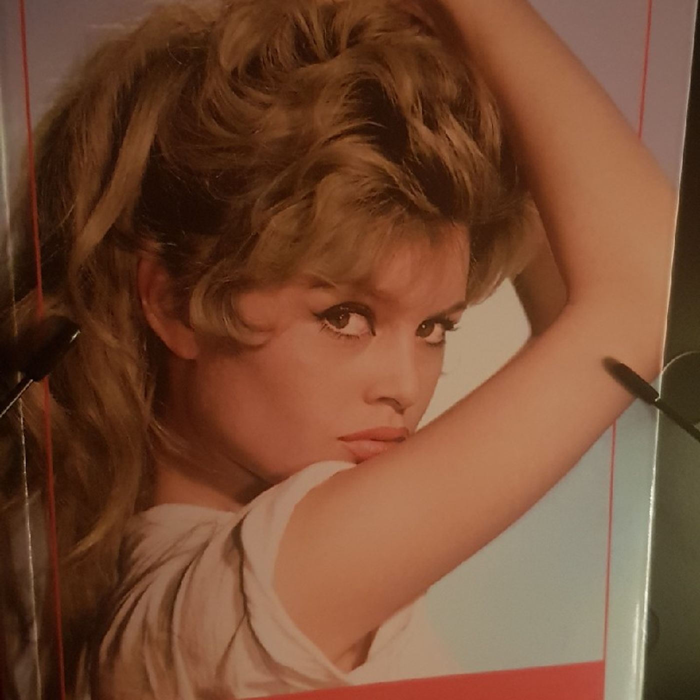 Icone : Brigitte Bardot  - BB