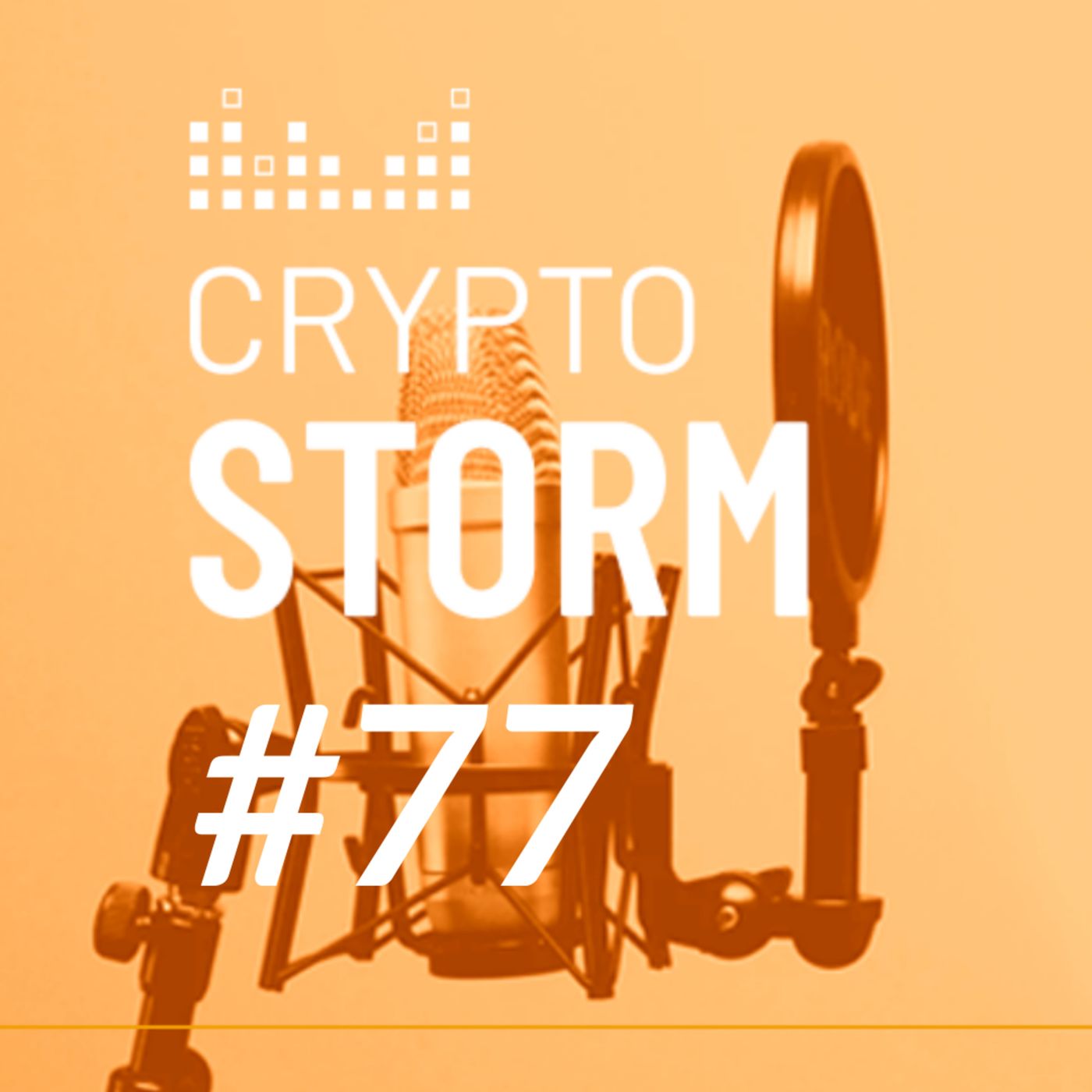 Crypto Storm