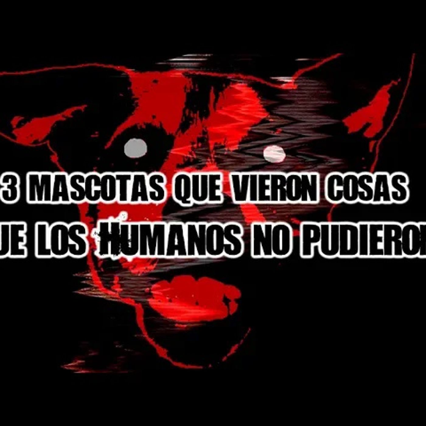 Portada de El Podcast de DrossRotzank