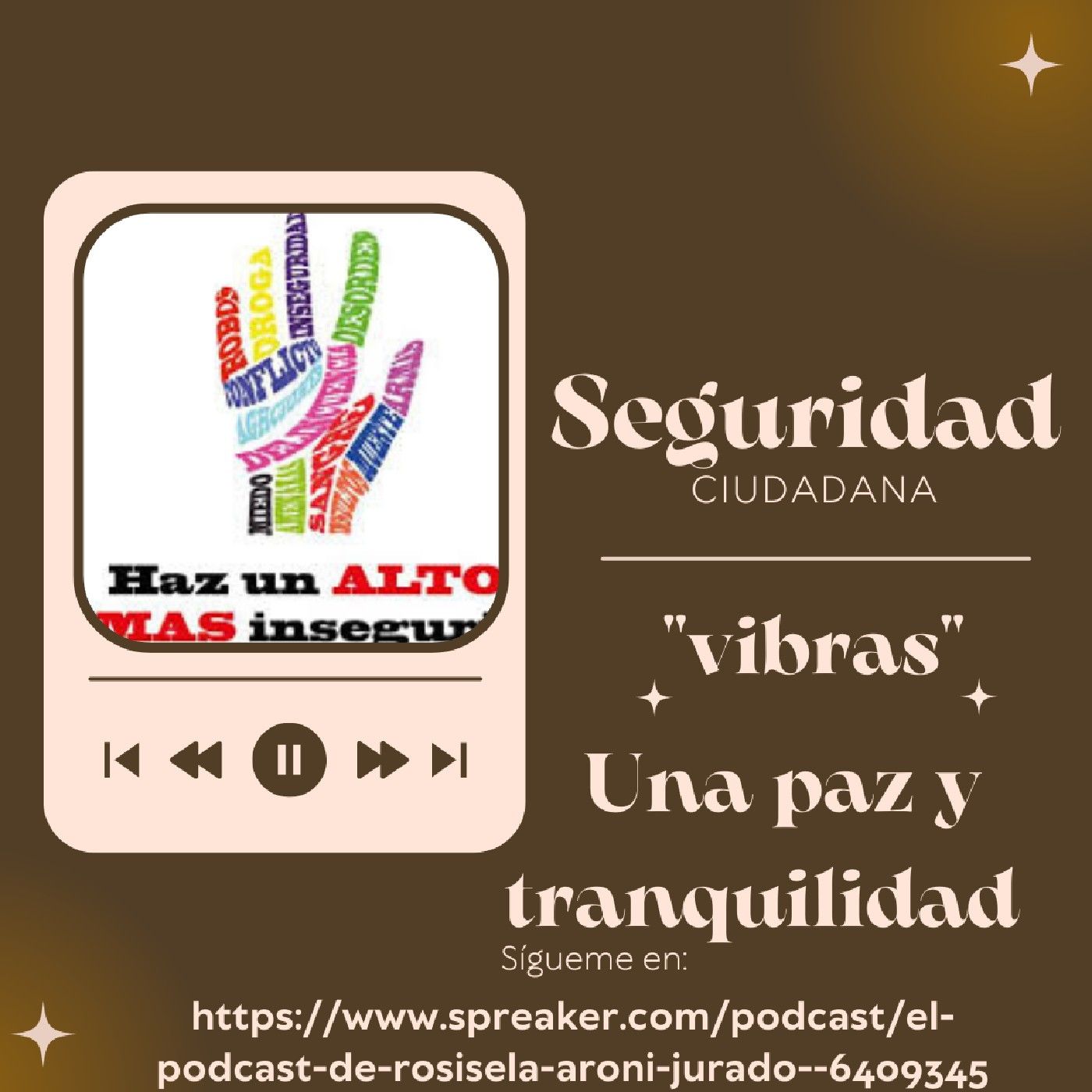 La seguridad ciudadana