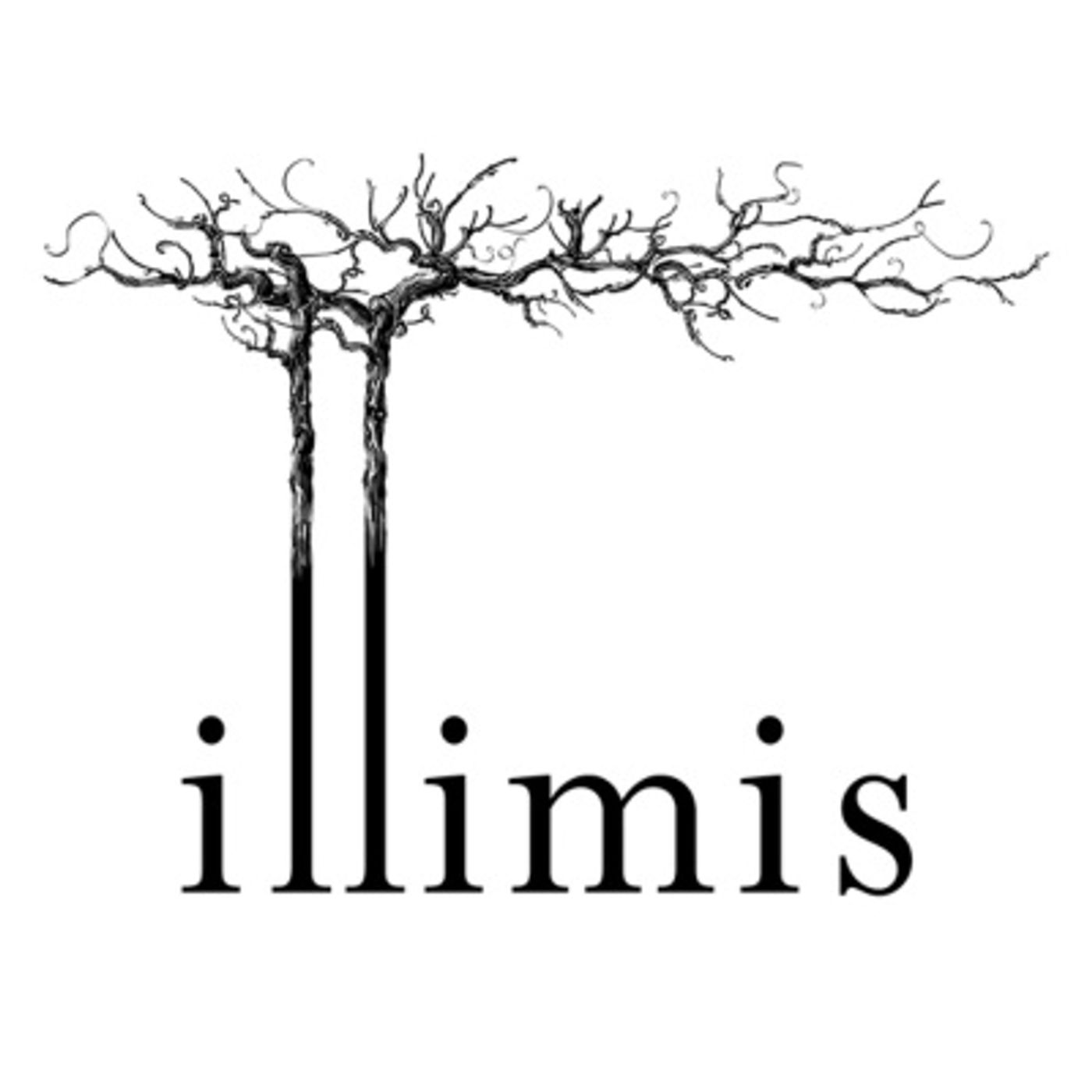 Illimis - Lucinda Heyns