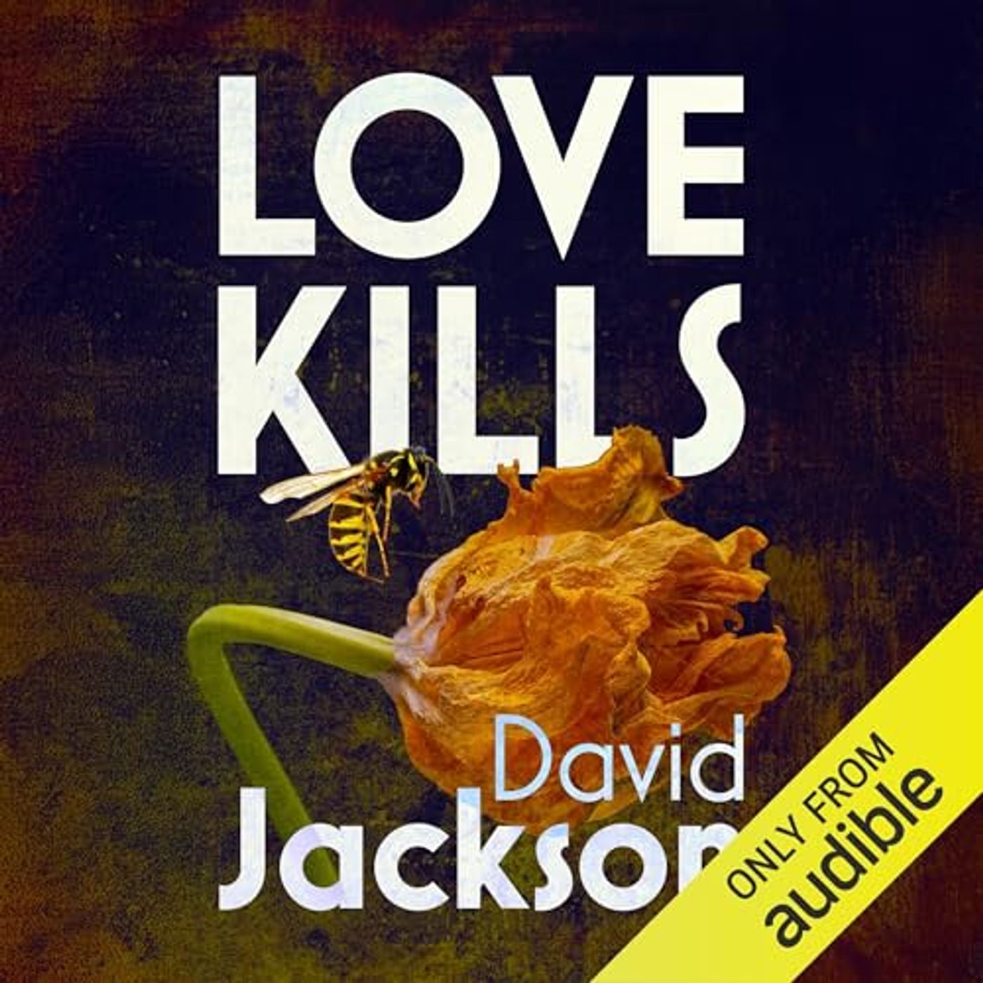 Stream Your Favorite Audiobooks in High Quality