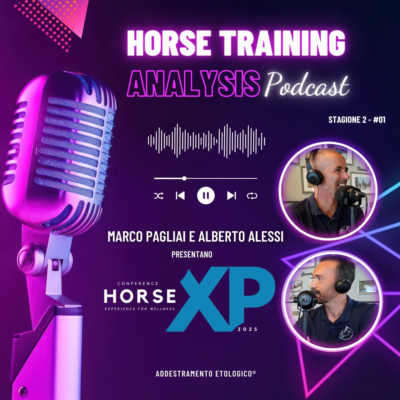 Horse Training Analysis