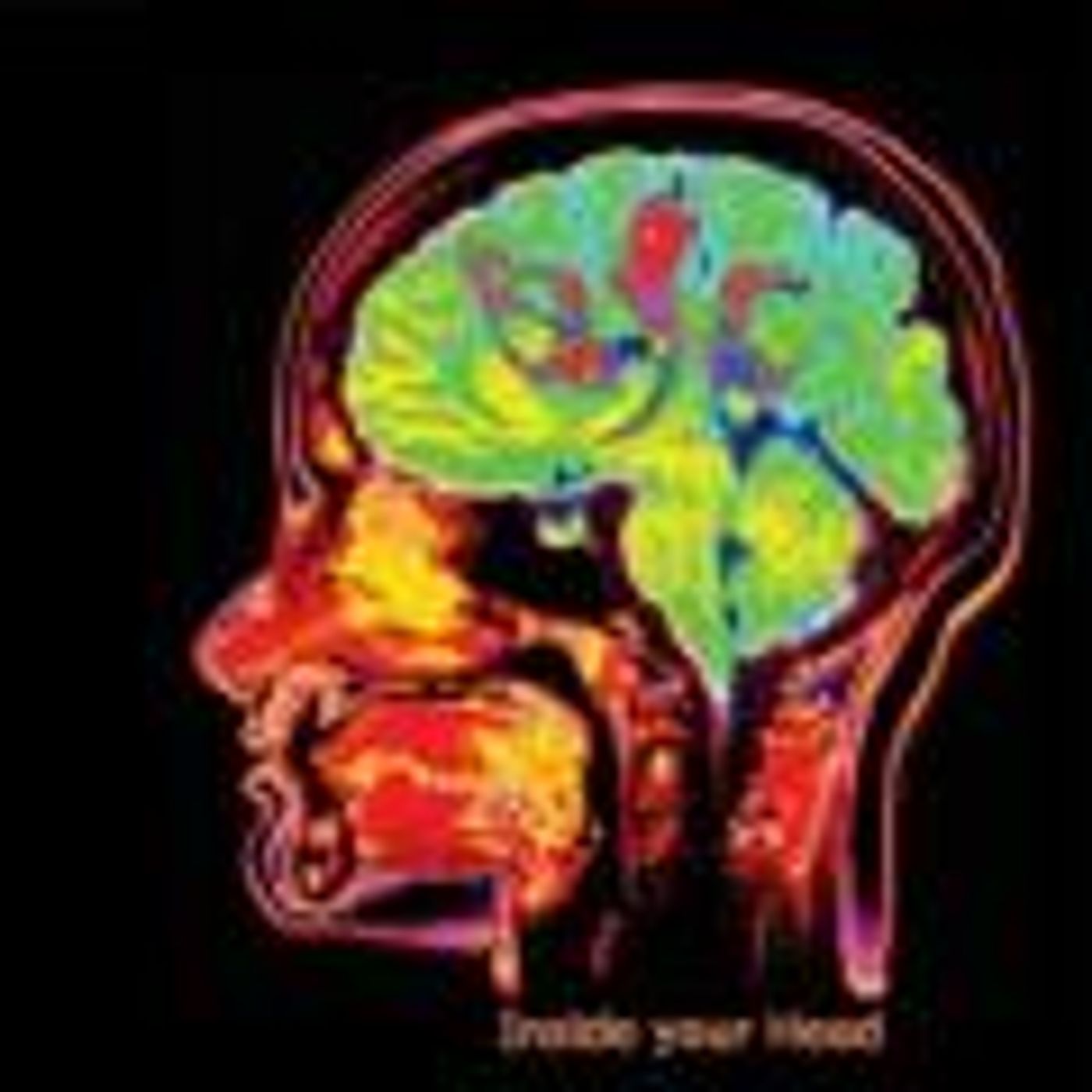 The Biology of Belief & How to Re-Program Your Mind, with Bruce Lipton PhD episode artwork