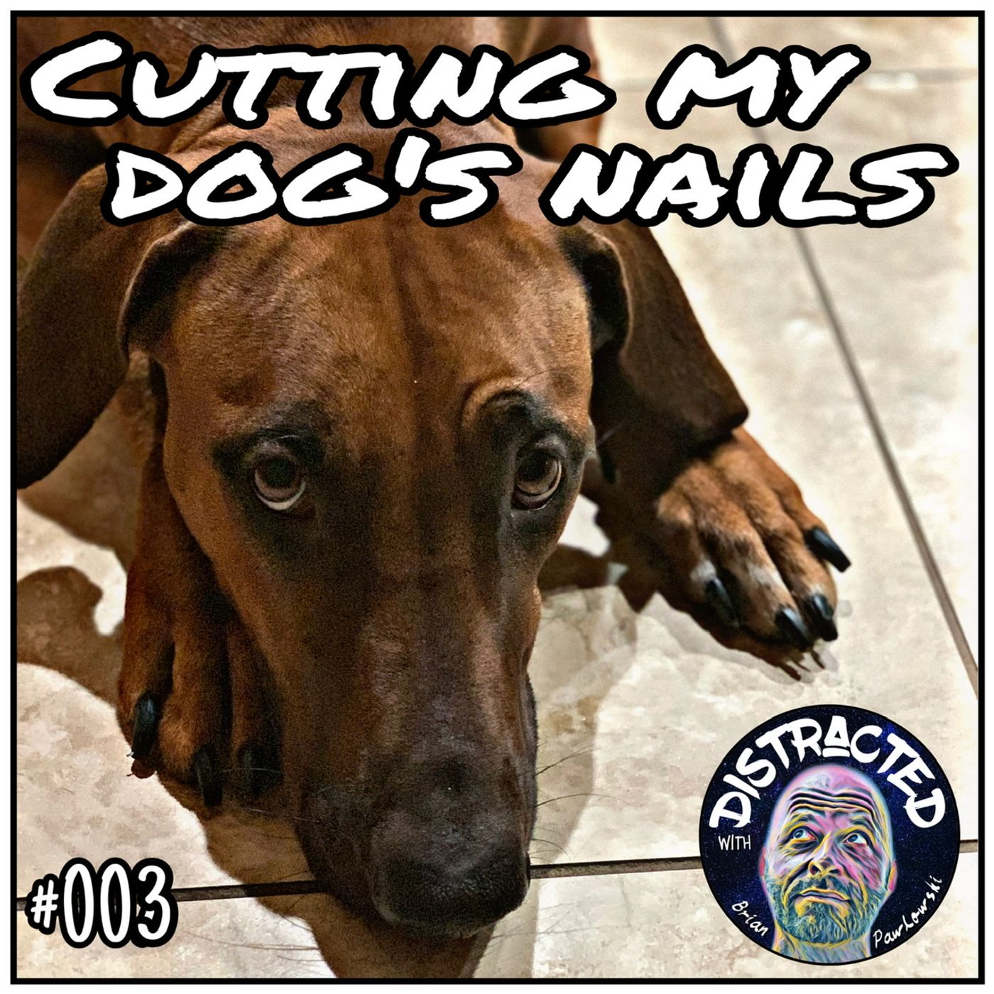 The Lazy Teacher Podcast