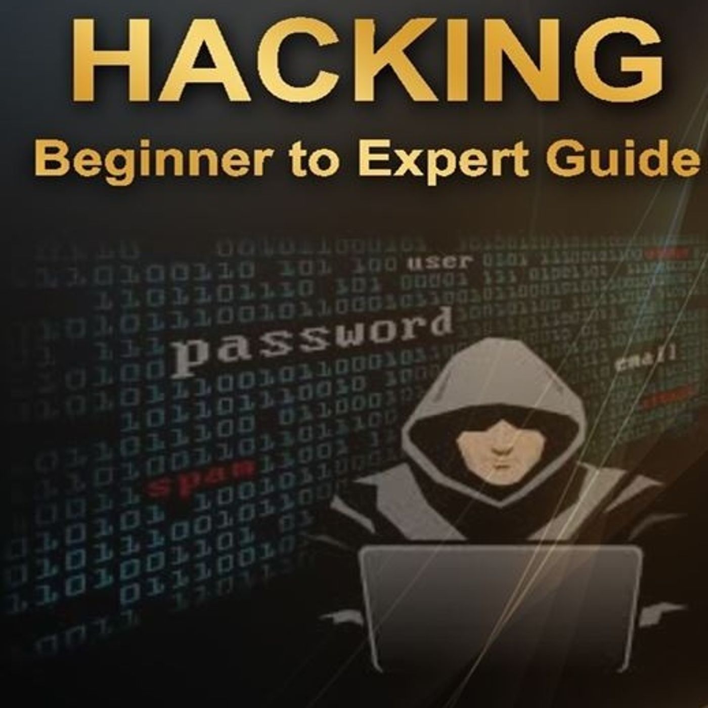 Hacking: Beginner to Expert Guide to Computer Hacking, Basic Security, and Penetration Testing