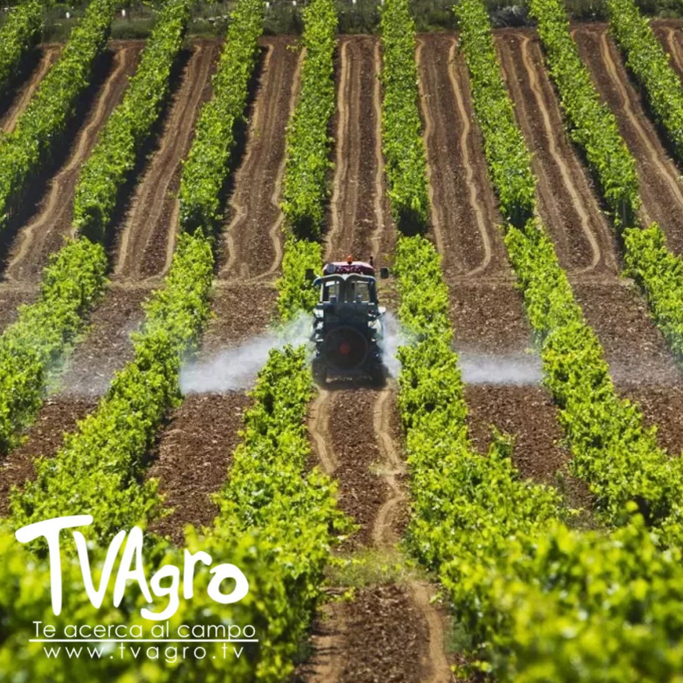 TV AGRO